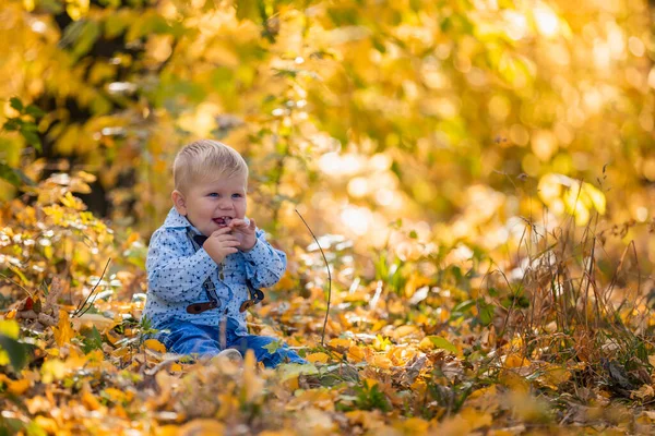 Menino andando na natureza — Fotografia de Stock