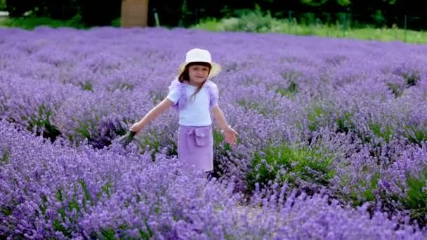 Una ragazza che cammina in un campo di lavanda — Video Stock