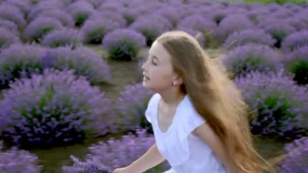 Una chica corriendo en un campo de lavanda — Vídeos de Stock