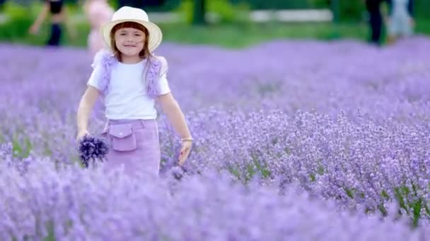 En flicka som går på ett lavendelfält — Stockvideo