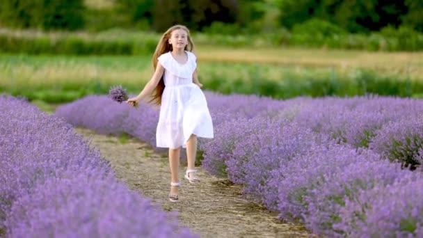 En flicka som springer på ett lavendelfält — Stockvideo