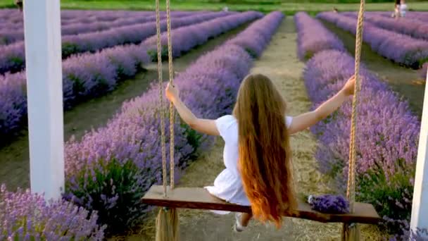 Flicka rida en gunga i en lavendel fält — Stockvideo