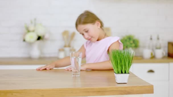 Meisje drinkt water en glazen — Stockvideo