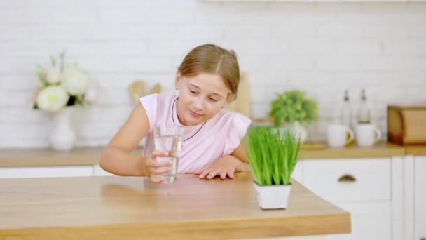 Девушка пьет воду и очки — стоковое видео