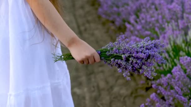 Gadis dengan karangan bunga lavender — Stok Video