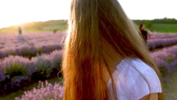 Una ragazza che corre su una lavanda fie — Video Stock