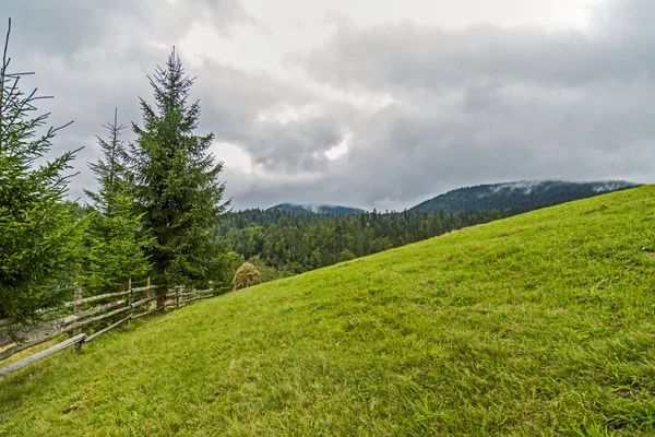 Karpatische hooglanden — Stockfoto