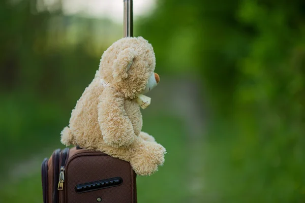 Плюшевый мишка сидит на чемодане — стоковое фото