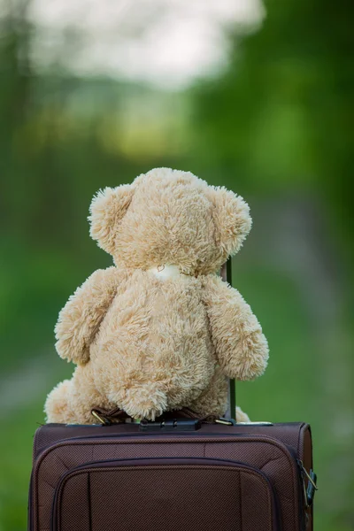 Oso de peluche sentado en una maleta —  Fotos de Stock