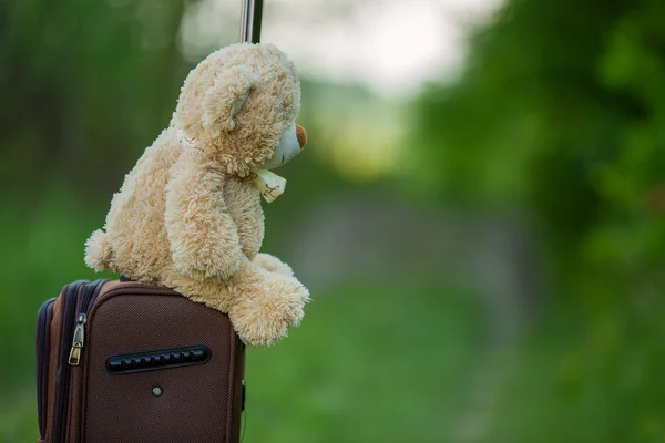 Плюшевый мишка сидит на чемодане — стоковое фото