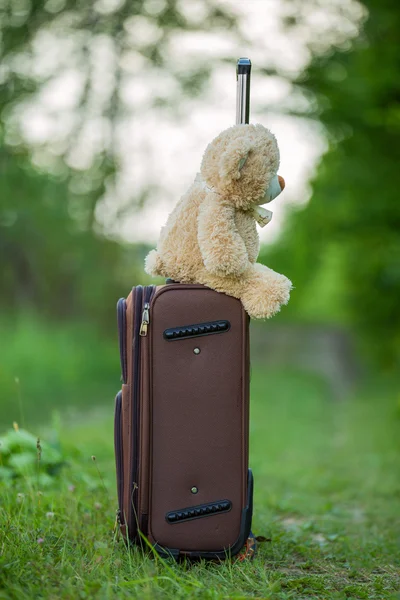 Teddy bear zittend op een koffer — Stockfoto