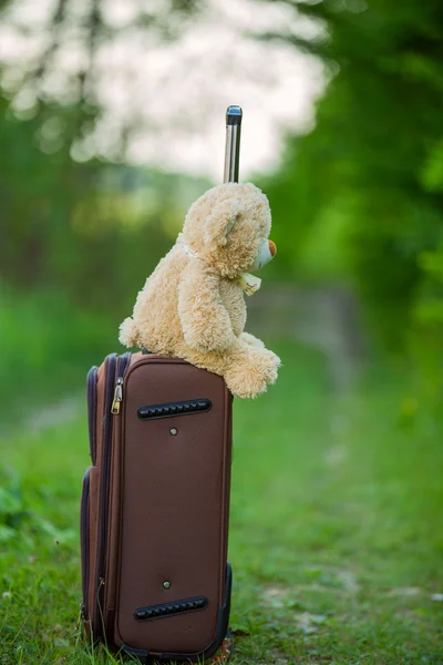 Oso de peluche sentado en una maleta —  Fotos de Stock