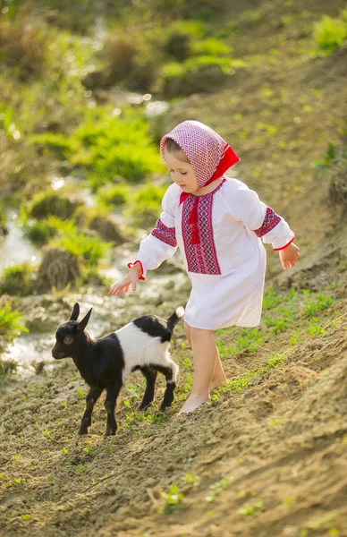 Дівчина в національному костюмі — стокове фото