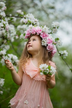 bir çiçekli Bahçe küçük kız
