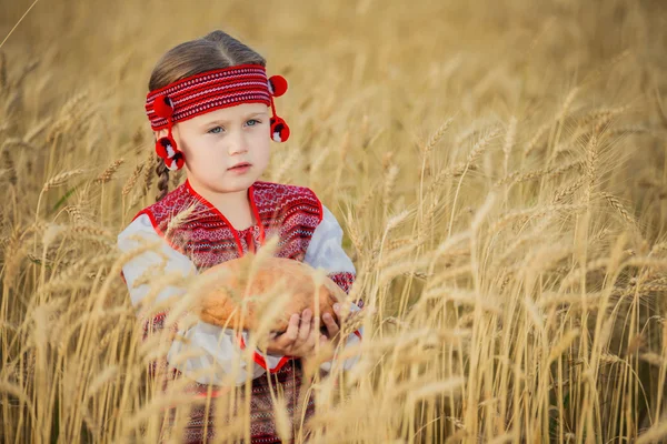 Ukrayna ulusal kostümlü çocuk