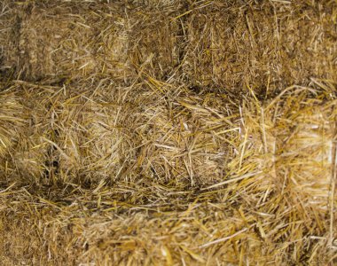 arka plan olarak saman