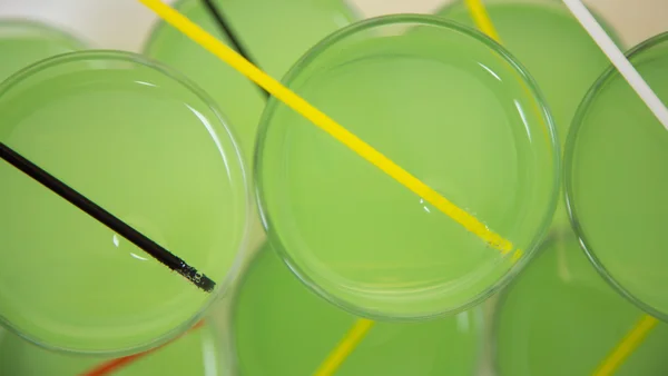 Bicchieri con liquido verde — Foto Stock