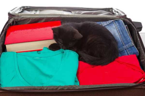 elbise ve siyah bir kedi ile bavul