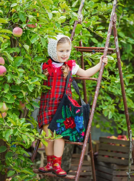 Meisje scheuren de appels — Stockfoto