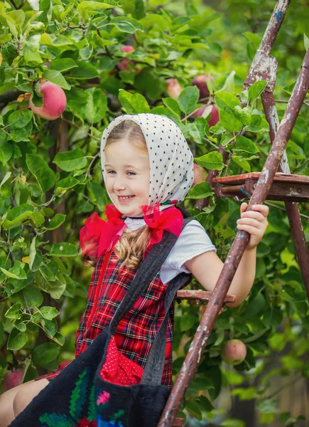 Girl tearing the apples — Stock Photo, Image
