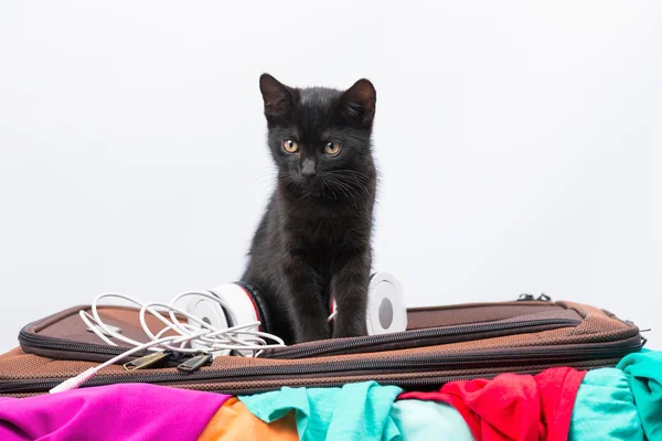 Kufr s oblečením a černá kočka — Stock fotografie