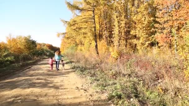Мати з дитиною і велосипедом — стокове відео