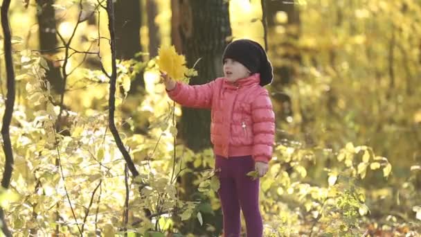 Bambino nella foresta autunnale — Video Stock