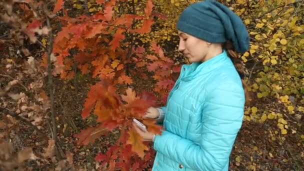 Девушка рвет листья — стоковое видео