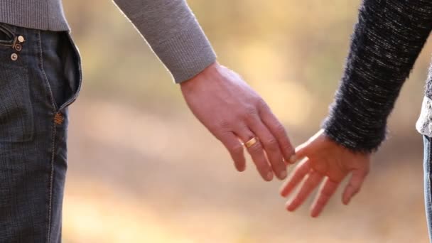 Hands of a young couple — Stock Video