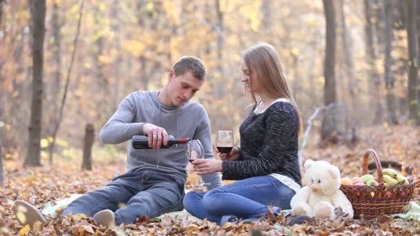 Pareja bebiendo vino — Vídeos de Stock