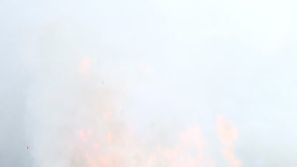 Queima de fogo e fumaça — Vídeo de Stock