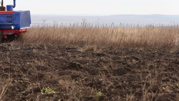 Terrain de labour tracteur — Video