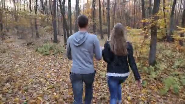 Pareja caminando en la naturaleza — Vídeo de stock