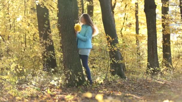 Ragazza che si nasconde dietro un albero — Video Stock