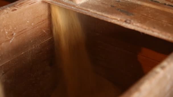 Korenmeel in een molen — Stockvideo