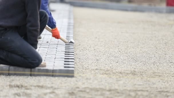 Trabajador pone pavimentación — Vídeo de stock