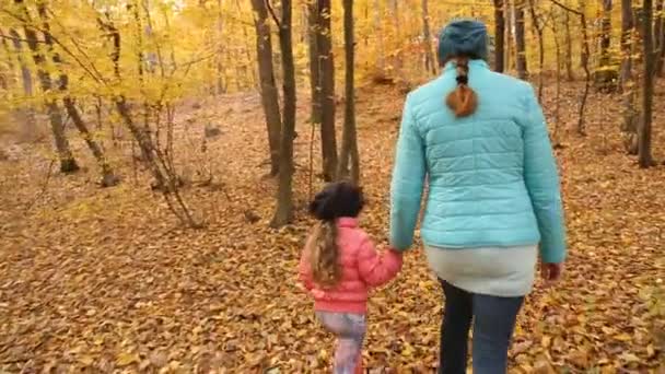 Madre camina con el niño — Vídeos de Stock