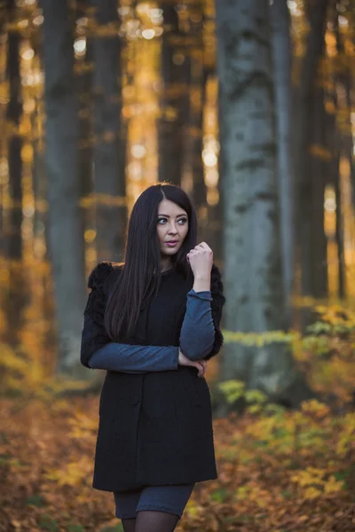 Hermosa chica en el bosque — Foto de Stock