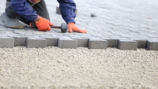 Worker puts paving — Stock Video