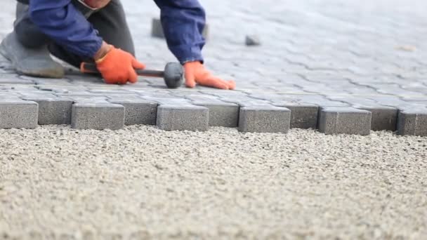 Trabajador pone pavimentación — Vídeo de stock