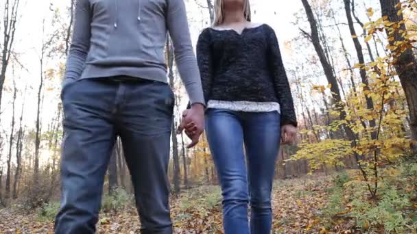 Paar spaziert in der Natur — Stockvideo