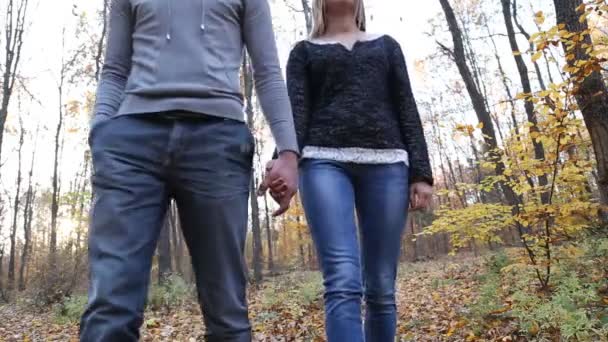 Pareja caminando en la naturaleza — Vídeo de stock