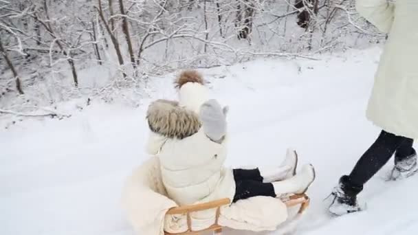 妈妈宝宝卷在雪橇上 — 图库视频影像