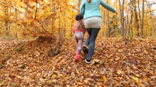 Madre camina con el niño — Vídeos de Stock