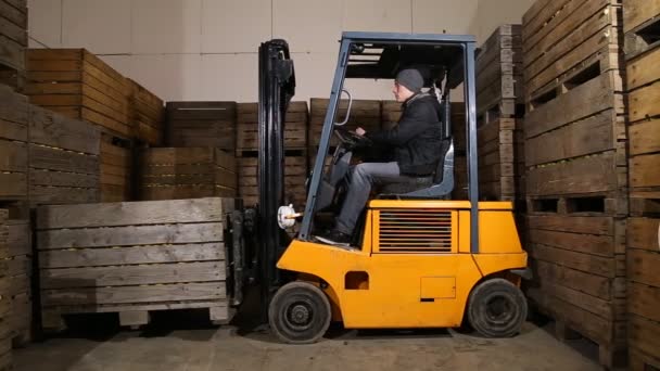 Práce vozíky v úložišti — Stock video