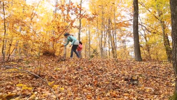 잎을 찢 어 하는 여자 — 비디오