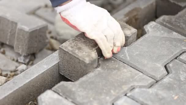 Worker puts sidewalk tile — Stock Video