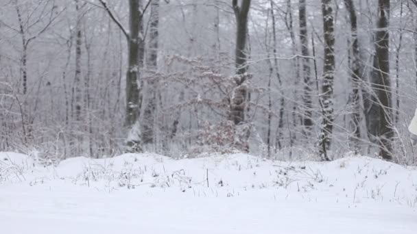 Mom baby rolls on a sled — Stock Video