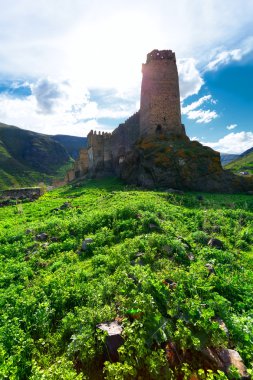 Antik kale Khertvisi