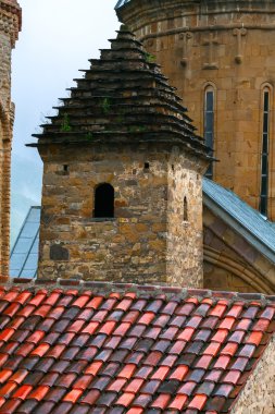 Kahverengi at bir arazide yeşil çimen